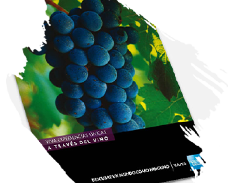 vinedos
